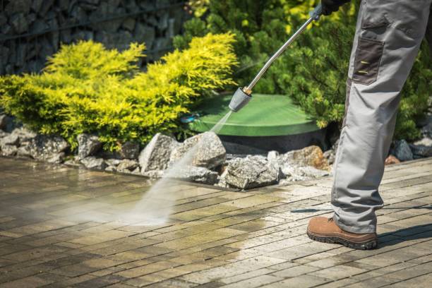 Best Warehouse Cleaning  in Roselawn, IN